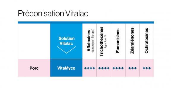 Effets Vitamyco sur les mycotoxines