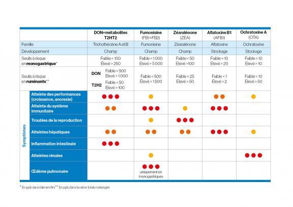 Effets nocifs des mycotoxines