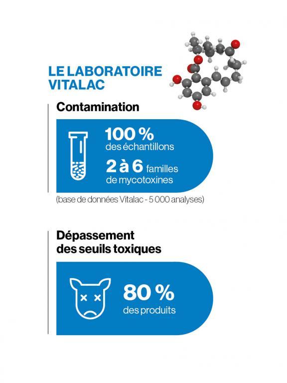 Analyses mycotoxines laboratoire