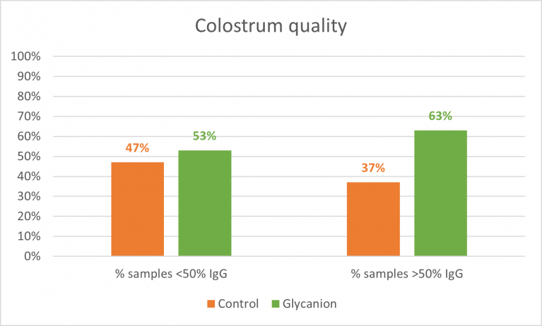 Glycanion, colostrum quality