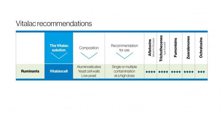 vitabiocell capteur mycotoxines ruminant