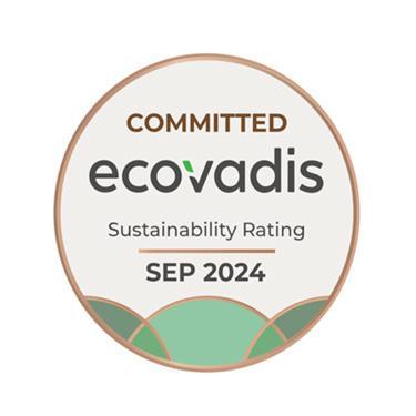 logo ecovadis